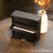 Bambu Lab - Piano Music Box hand Winding Kit