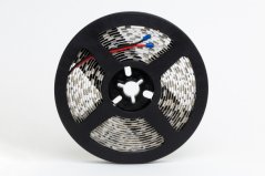 WW LED strip IP20 WW LED strip IP20