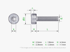 M2.5x30 Socket Head Cap Machine Screws (SHCS)