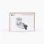 Bambu_Lab_kit_010_2